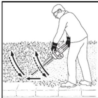 STIHL HSA 45 - Taglio - 1