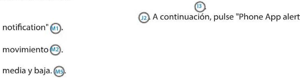 Flamingo C706IP - 5.2.1.Email snapshot alert - 1