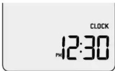 BREVILLE the Quick Touch Compact BMO625 - Setting The Clock - 12 Hour Clock Display - 7