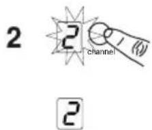 SHURE BLX24 - b) - 4
