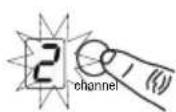 SHURE BLX24 - Nota: - 11