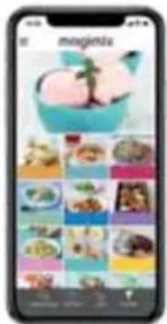 MAGIMIX Gelato Expert 11680RW - 2