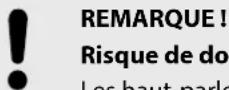 Harley Benton HBCE 990RD - Risques de dommages dus aux piles qui fuient - 1