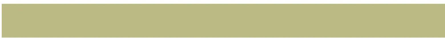 Harley Benton HBCE 990RD - Protection de l'environnement - 4