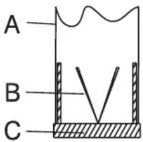 A B C