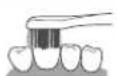 PANASONIC EWDC12 - Front surface and the biting surface of teeth - 2