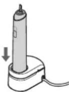 PANASONIC EWDC12 - Preparation - 1