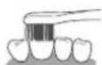 PANASONIC EWDC12 - Superficie anteriore e superficie mordace dei denti - 2