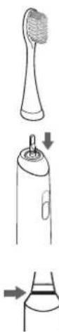 PANASONIC EWDC12 - Placera tandborsten i munnen. - 1