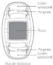 SEGWAY Drift W1 - Diagramme - 2