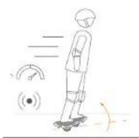 SEGWAY Drift W1 - 8Warnings - 16