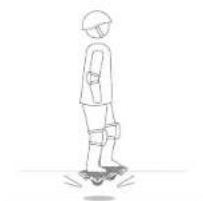 SEGWAY Drift W1 - Avertissements - 11