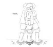 SEGWAY Drift W1 - 8Warnings - 12