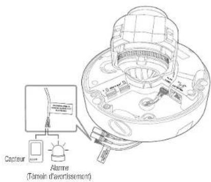 Wisenet XNV6080R - Connexion au boitier du port E/S - 2