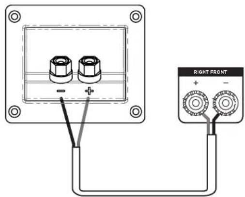 POLK XT15 - Branchement de base de l'enceinte - 1