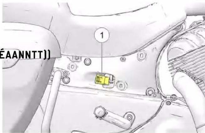 Indian Vintage (2021) - SSAACCOOCCHHEESS ((LLEE CCAASS ÉÉCCHHÉÉAANNTT)) - 1