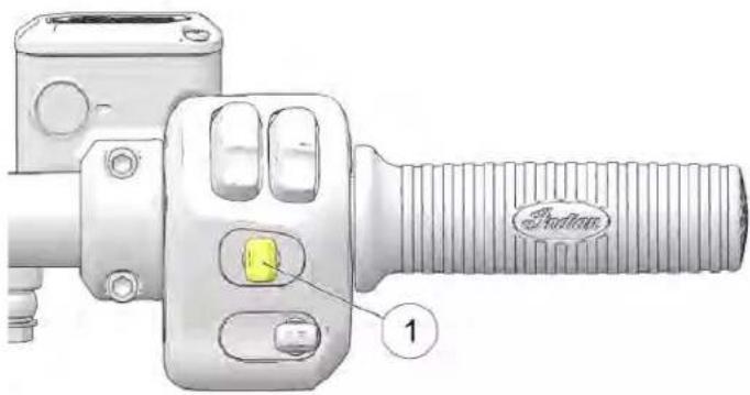 Indian Vintage (2021) - UUTTIILLISSAATTIIOONN DDUU RRÉEGGUULLAATTEEUURR DDEE VVIITTEESSSEE - 1