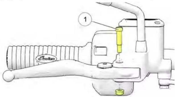 Indian Vintage (2021) - LLEEVVIIEERR DDEE FFRREEIINN AAVVAANNTT - 1