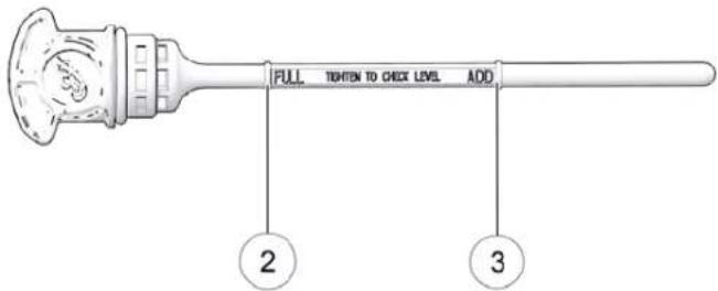 Indian Vintage (2021) - CONSEIL - 1