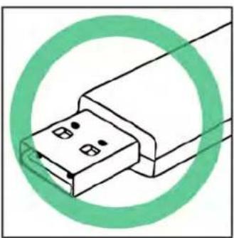 Indian Vintage (2021) - IMPORTANT - 2