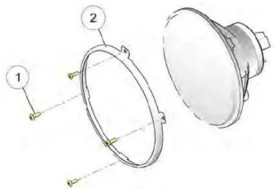 Indian Vintage (2021) - RREEMMPPLLAACCEEMMEENNTT DDEE LL''A ((MMOODDÈLLEESS CCHHIIEEFFTTAAIINN)) - 1