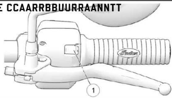 Indian Vintage (2021) - AAFFFFIICCHHAAGGEE DDUU NNIIVVEEAAUU DDEE CCAARRBBUURRAANNTT - 2