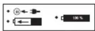 PARKSIDE PLGK 12 A2 - Symbole na tadowarce - 7