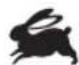 RYOBI One+ R18DDP2 - | English - 5