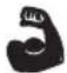 RYOBI One+ R18DDP2 - | English - 2