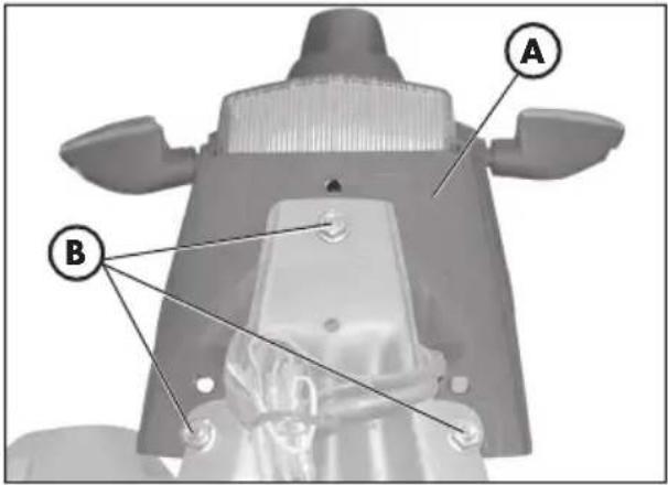 Beta ALP 200 (2011) - How to remove the plate holder - 1