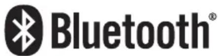 PIONEER MVHP8200BT - Bluetooth - 1