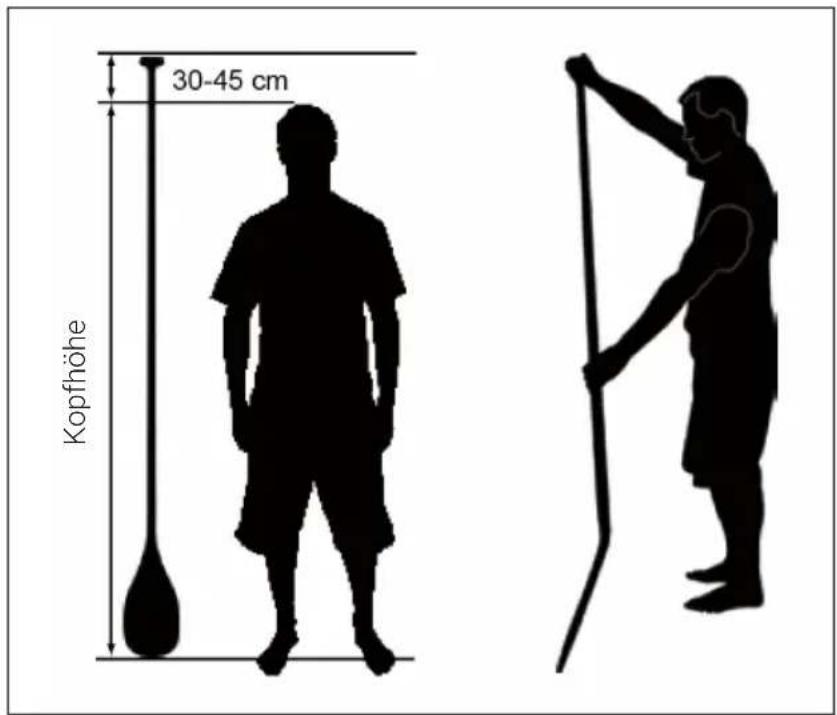 Capital Sports Mamao S - INBETRIEBNAHME UND BEDIENUNG - 1