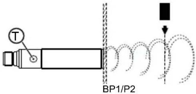 T BP1/P2