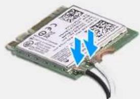 DELL XPS 8950 - Pnpoopoeiysaunvtnyepyaia - 3