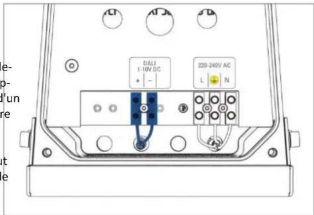 Derksen PHOS 85 rotator outdoor - Connexions pour la commande d'éclairage (en option) DALI / 1-10V - 1