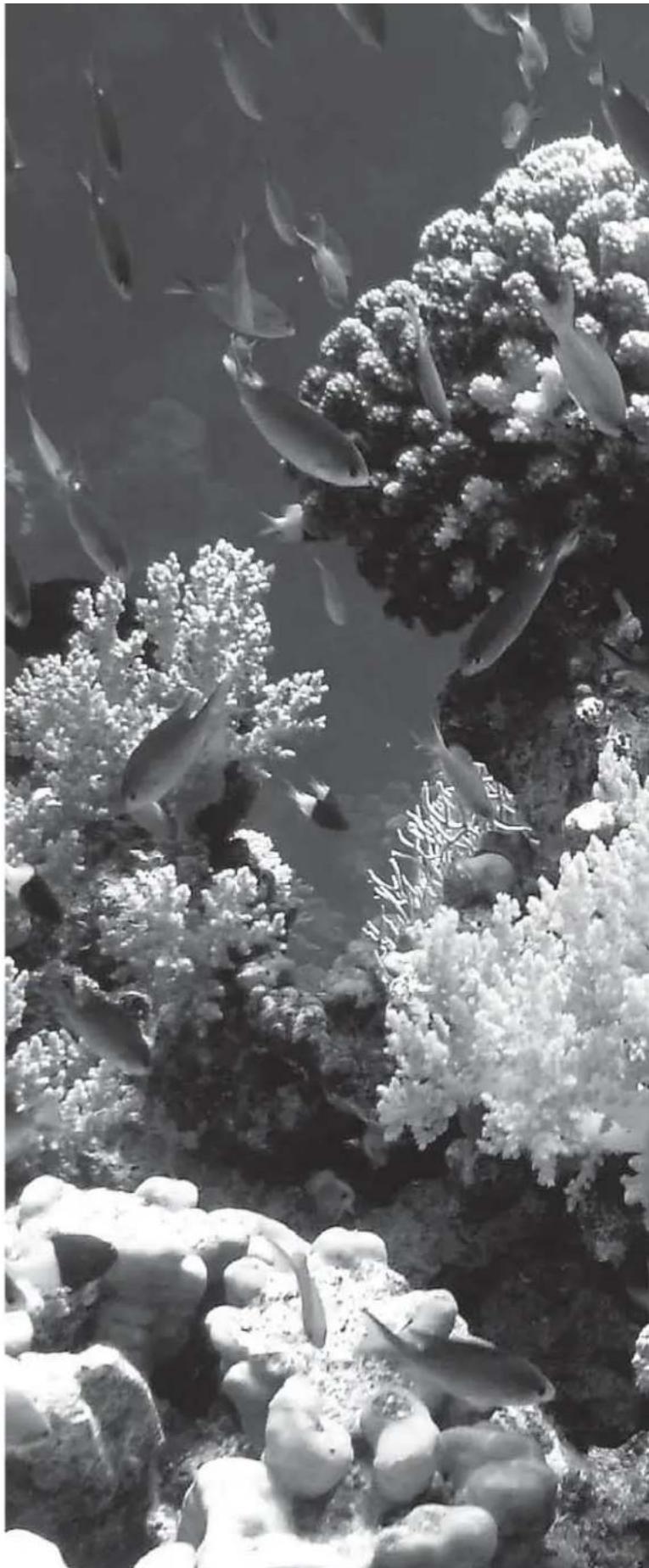 Ferplast Bluwave 03 - DOSKONALEPARAMETRY. - 1