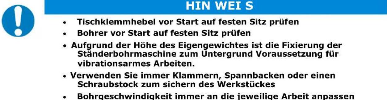 Holzmann SB 3116RMN - Betriebshinweise - 3