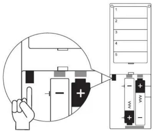 Schellenberg 21210 - 2x - 1