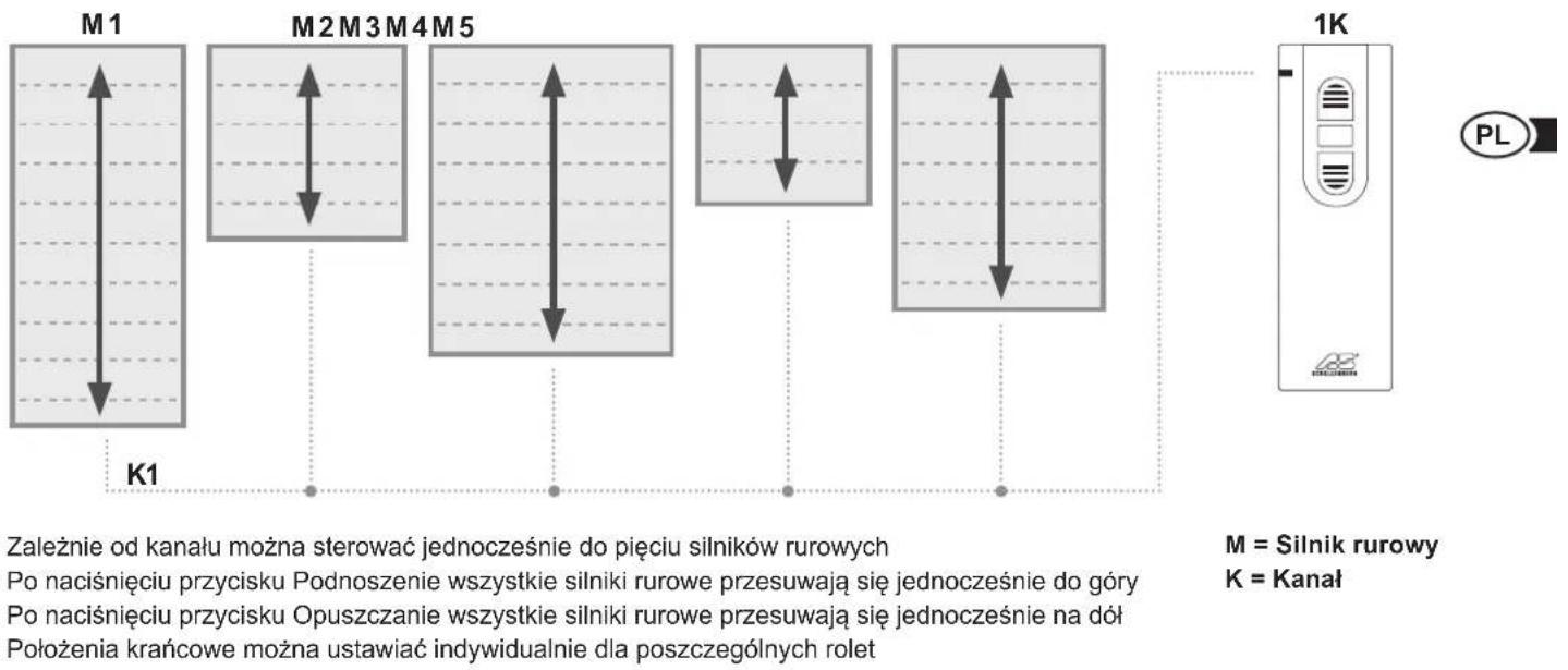 Schellenberg 21210 - ⑥ Przycisk programomania - 1