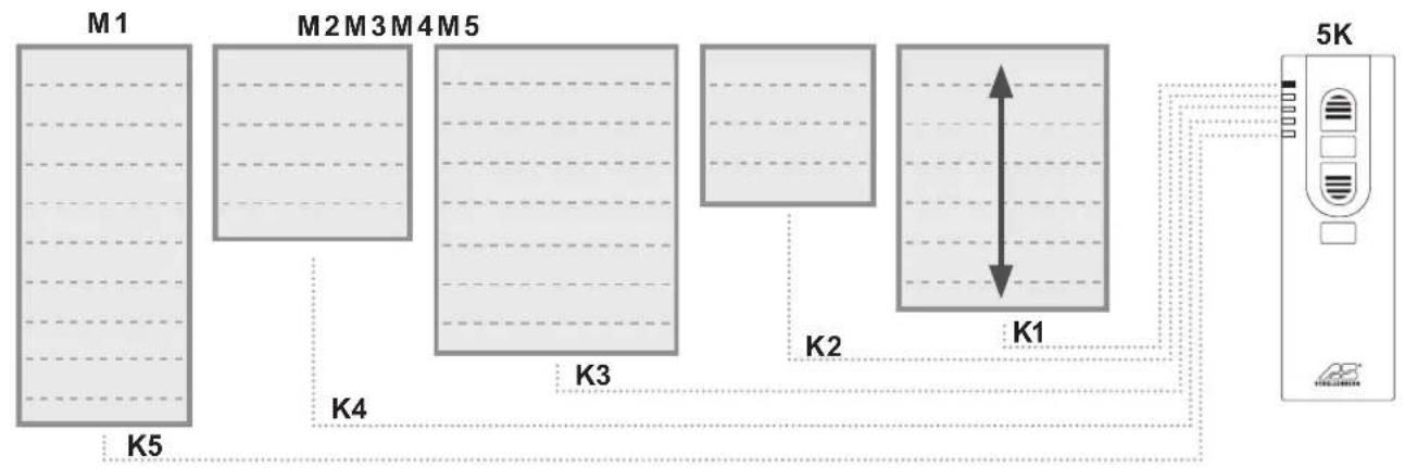 Schellenberg 21210 - Tasto Programmazione - 1