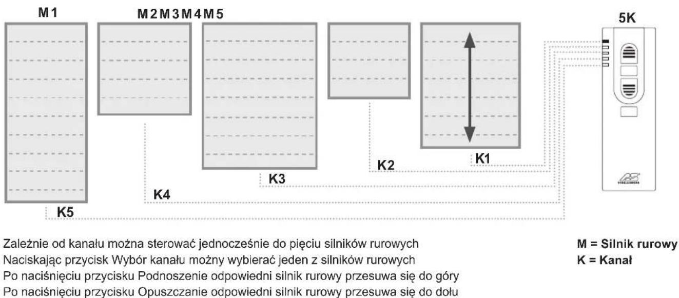 Schellenberg 21210 - ⑥ Przycisk programomania - 2