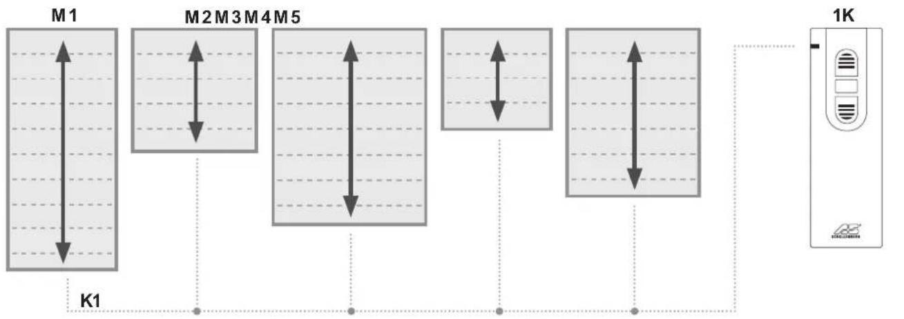 Schellenberg 21210 - 1kanal - 1