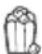 BREVILLE the Compact Wave Soft Close BMO650 - Popcorn - 1