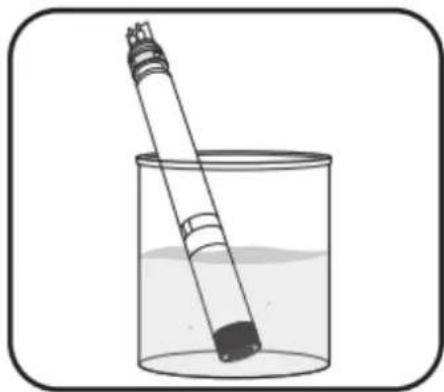 YSI EXO2 - Stockage de longue durée. - 2