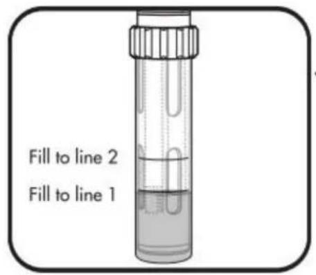YSI EXO2 - Noms de fichiers - 2