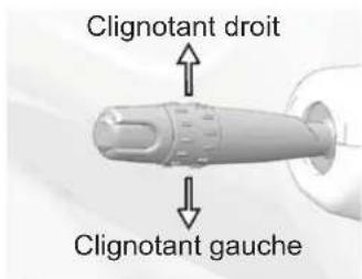 GEM eLXD (2017) - Commutateur de clignotants - 1