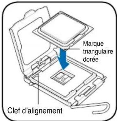 ASUS V2P5P43 - Installer un processeur Intel Pentium 4 au format LGA775 - 3