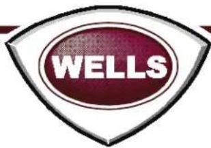 Wells H2412G - Wells Bloomfield proudly supports CFESA Commercial Food Equipment Service Association - 4