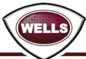 Wells H2412G - Wells Bloomfield proudly supports CFESA Commercial Food Equipment Service Association - 3