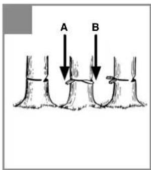 Bavaria BPC 22501 - 18